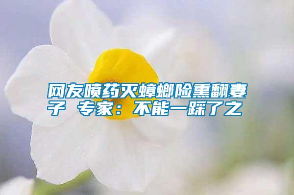 網(wǎng)友噴藥滅蟑螂險(xiǎn)熏翻妻子 專家：不能一踩了之