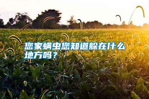 您家螨蟲您知道躲在什么地方嗎？