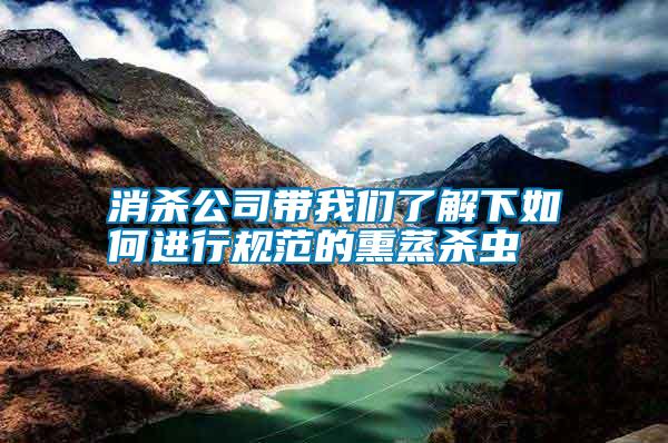 消殺公司帶我們了解下如何進(jìn)行規(guī)范的熏蒸殺蟲