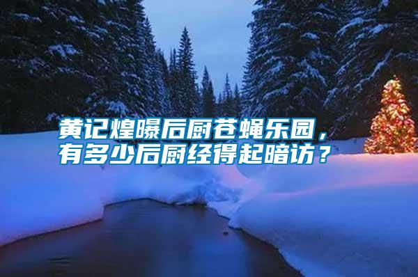 黃記煌曝后廚蒼蠅樂園， 有多少后廚經(jīng)得起暗訪？