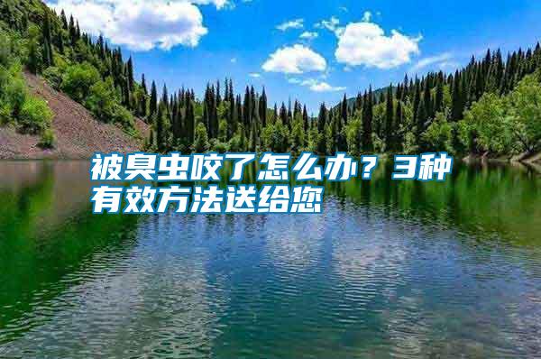 被臭蟲咬了怎么辦？3種有效方法送給您