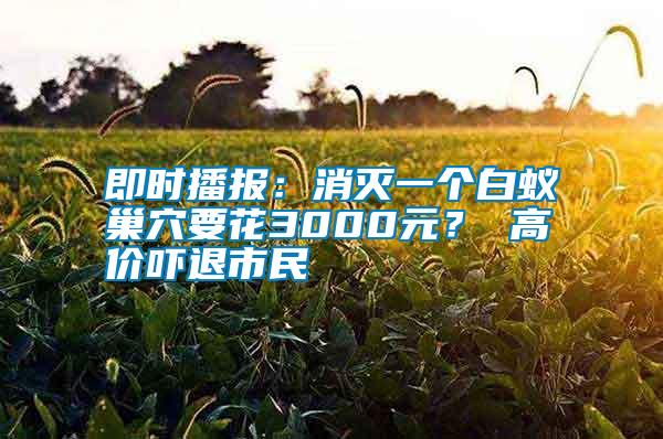 即時播報：消滅一個白蟻巢穴要花3000元？ 高價嚇退市民