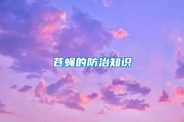 蒼蠅的防治知識(shí)