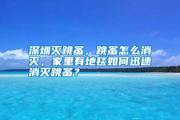 深圳滅跳蚤，跳蚤怎么消滅，家里有地毯如何迅速消滅跳蚤？