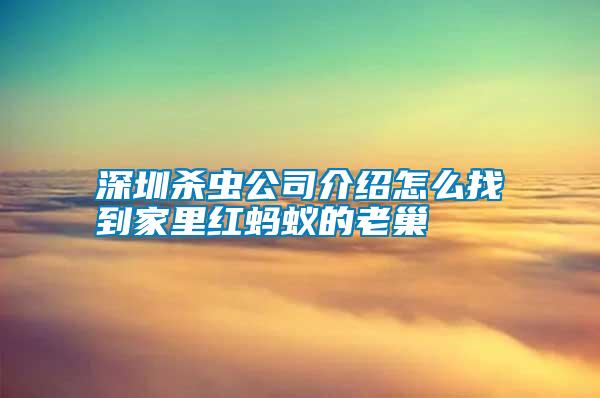 深圳殺蟲公司介紹怎么找到家里紅螞蟻的老巢