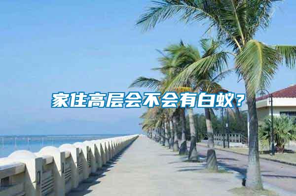 家住高層會不會有白蟻？