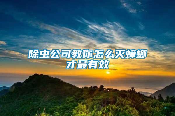 除蟲公司教你怎么滅蟑螂才最有效