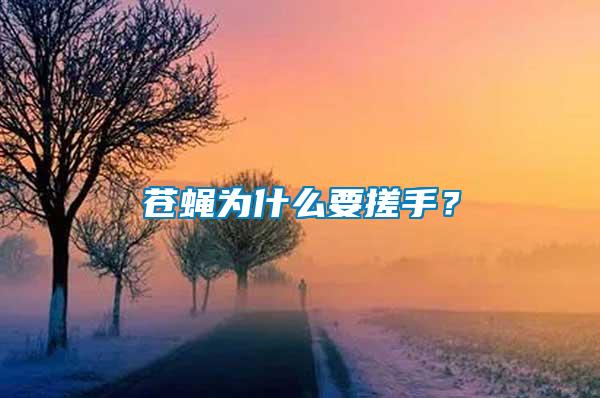 蒼蠅為什么要搓手？