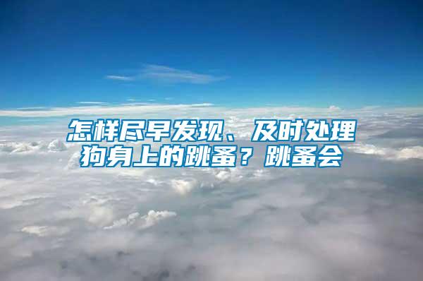 怎樣盡早發(fā)現(xiàn)、及時處理狗身上的跳蚤？跳蚤會