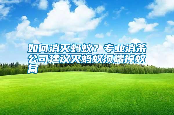 如何消滅螞蟻？專業(yè)消殺公司建議滅螞蟻須端掉蟻窩