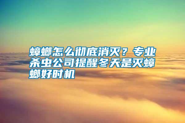 蟑螂怎么徹底消滅？專業(yè)殺蟲公司提醒冬天是滅蟑螂好時(shí)機(jī)