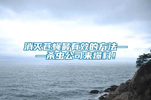 消滅蒼蠅最有效的方法——?dú)⑾x公司來(lái)爆料！