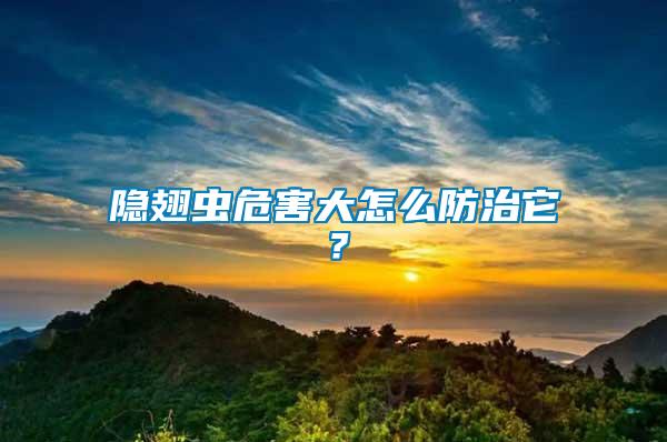 隱翅蟲(chóng)危害大怎么防治它？