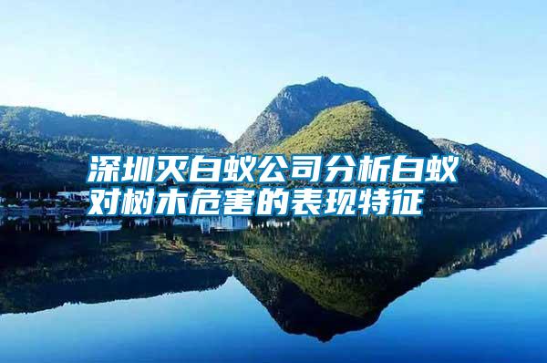 深圳滅白蟻公司分析白蟻對樹木危害的表現(xiàn)特征