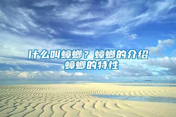 什么叫蟑螂？蟑螂的介紹 蟑螂的特性