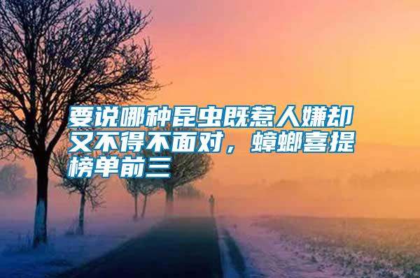 要說哪種昆蟲既惹人嫌卻又不得不面對(duì)，蟑螂喜提榜單前三