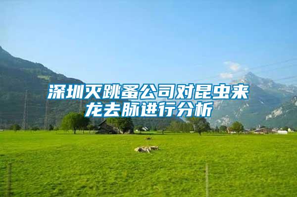 深圳滅跳蚤公司對(duì)昆蟲來龍去脈進(jìn)行分析