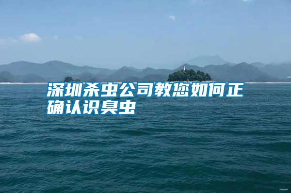 深圳殺蟲公司教您如何正確認(rèn)識(shí)臭蟲