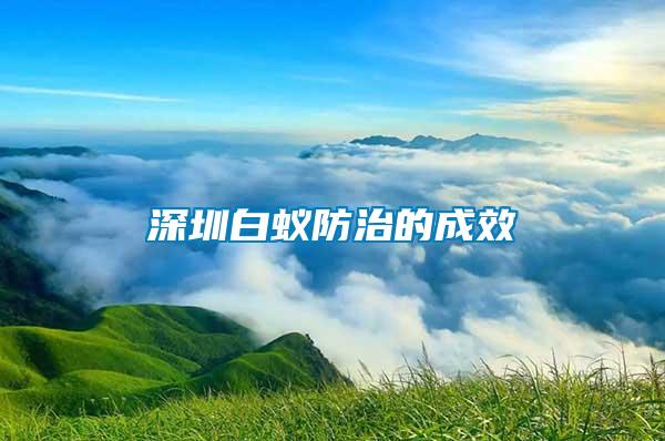 深圳白蟻防治的成效