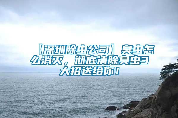 【深圳除蟲公司】臭蟲怎么消滅，徹底清除臭蟲3大招送給你！