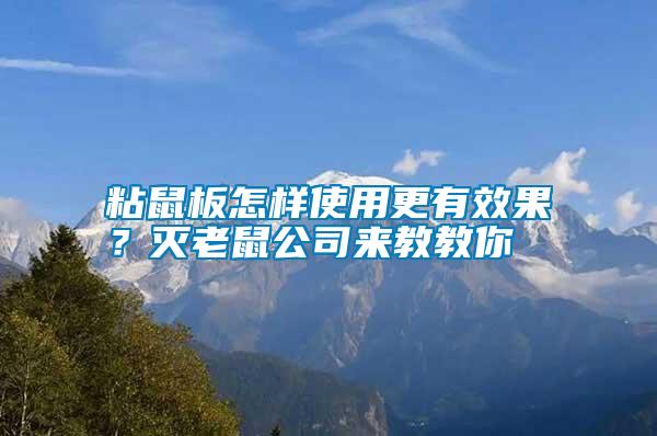 粘鼠板怎樣使用更有效果？滅老鼠公司來教教你