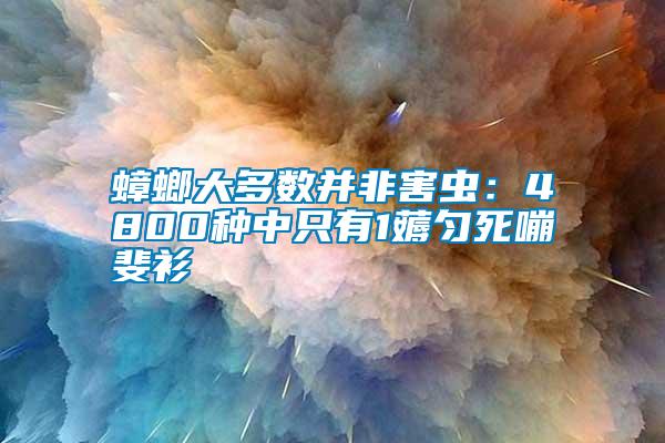 蟑螂大多數(shù)并非害蟲：4800種中只有1薅勻死嘣斐衫