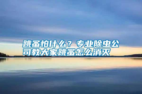 跳蚤怕什么？專業(yè)除蟲公司教大家跳蚤怎么消滅