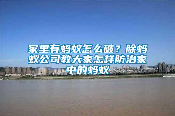 家里有螞蟻怎么破？除螞蟻公司教大家怎樣防治家中的螞蟻