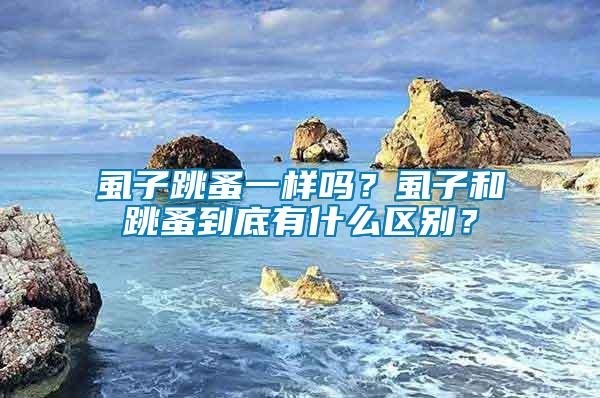 虱子跳蚤一樣嗎？虱子和跳蚤到底有什么區(qū)別？