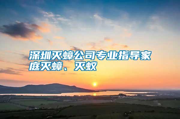 深圳滅蟑公司專業(yè)指導家庭滅蟑、滅蟻