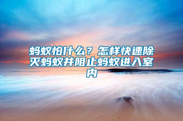 螞蟻怕什么？怎樣快速除滅螞蟻并阻止螞蟻進(jìn)入室內(nèi)