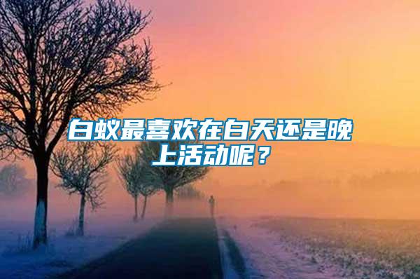 白蟻?zhàn)钕矚g在白天還是晚上活動(dòng)呢？