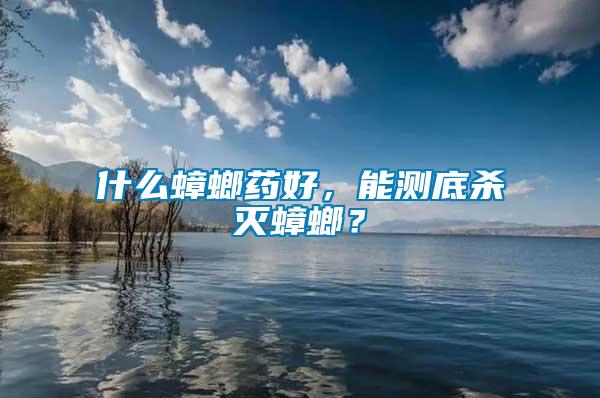 什么蟑螂藥好，能測底殺滅蟑螂？