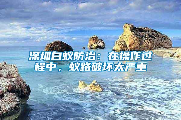 深圳白蟻防治：在操作過程中，蟻路破壞太嚴(yán)重