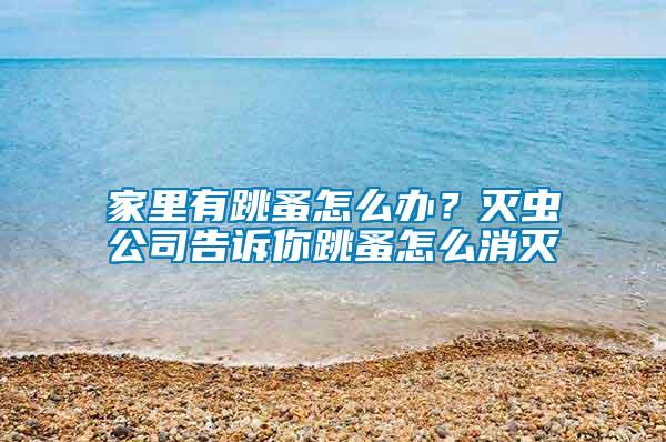 家里有跳蚤怎么辦？滅蟲公司告訴你跳蚤怎么消滅