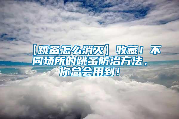 【跳蚤怎么消滅】收藏！不同場所的跳蚤防治方法，你總會用到！