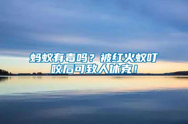 螞蟻有毒嗎？被紅火蟻叮咬后可致人休克！