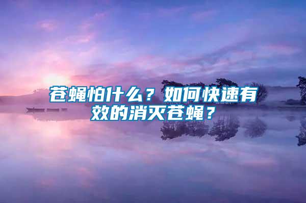 蒼蠅怕什么？如何快速有效的消滅蒼蠅？