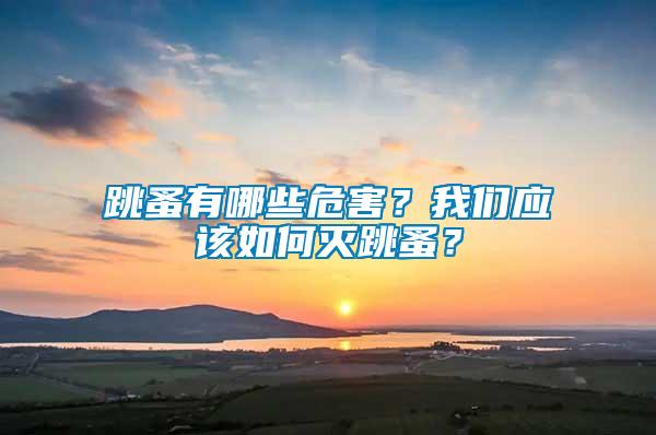 跳蚤有哪些危害？我們應(yīng)該如何滅跳蚤？