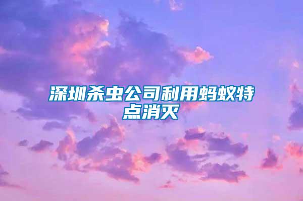 深圳殺蟲公司利用螞蟻特點(diǎn)消滅