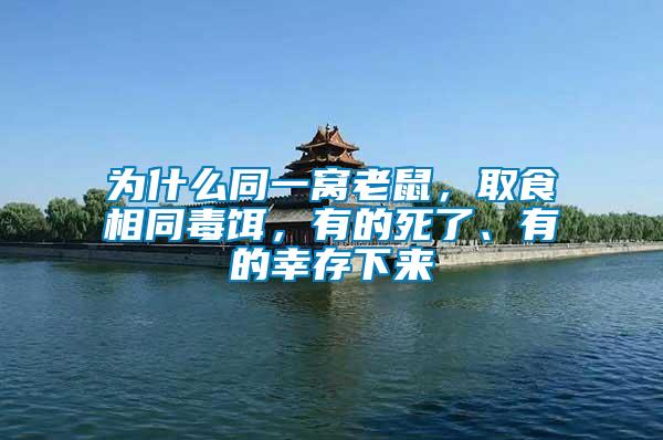 為什么同一窩老鼠，取食相同毒餌，有的死了、有的幸存下來