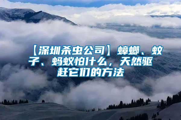 【深圳殺蟲(chóng)公司】蟑螂、蚊子、螞蟻怕什么，天然驅(qū)趕它們的方法