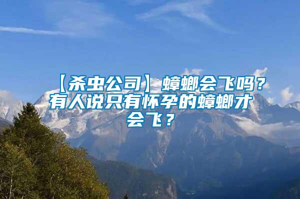 【殺蟲公司】蟑螂會飛嗎？有人說只有懷孕的蟑螂才會飛？