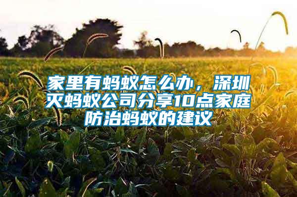 家里有螞蟻怎么辦，深圳滅螞蟻公司分享10點(diǎn)家庭防治螞蟻的建議