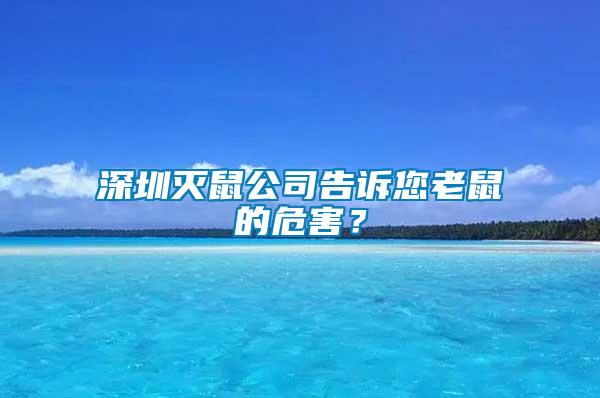 深圳滅鼠公司告訴您老鼠的危害？