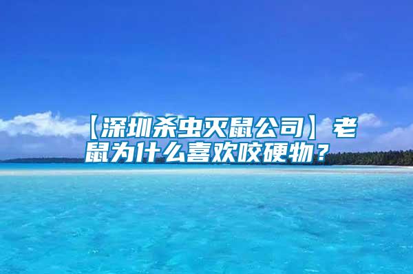 【深圳殺蟲滅鼠公司】老鼠為什么喜歡咬硬物？