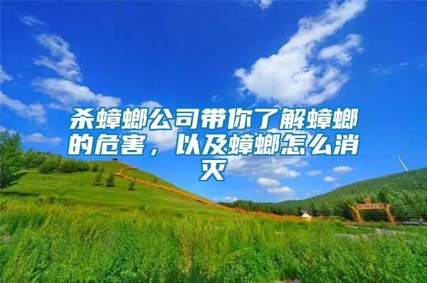 殺蟑螂公司帶你了解蟑螂的危害，以及蟑螂怎么消滅