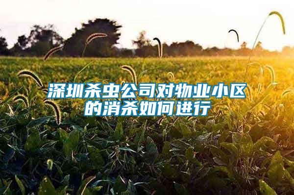 深圳殺蟲公司對物業(yè)小區(qū)的消殺如何進行