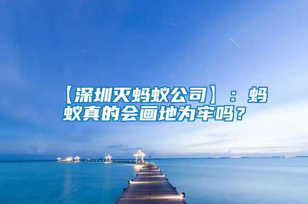 【深圳滅螞蟻公司】：螞蟻真的會畫地為牢嗎？