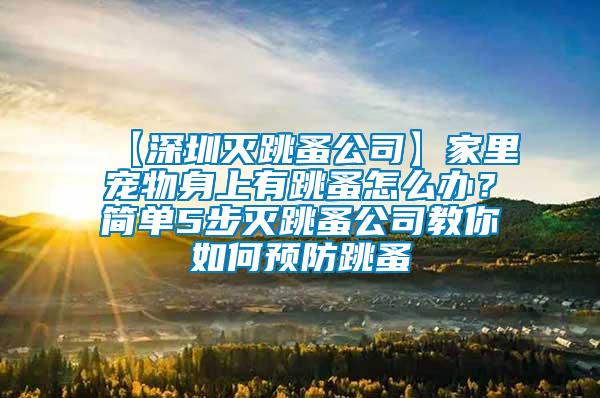 【深圳滅跳蚤公司】家里寵物身上有跳蚤怎么辦？簡單5步滅跳蚤公司教你如何預(yù)防跳蚤